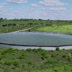 Tanques Australianos