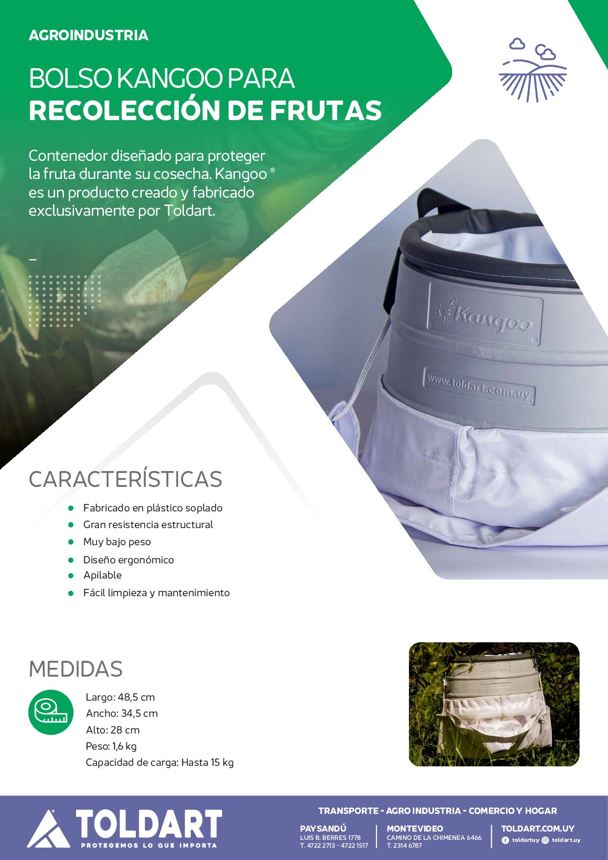 Vista previa del PDF