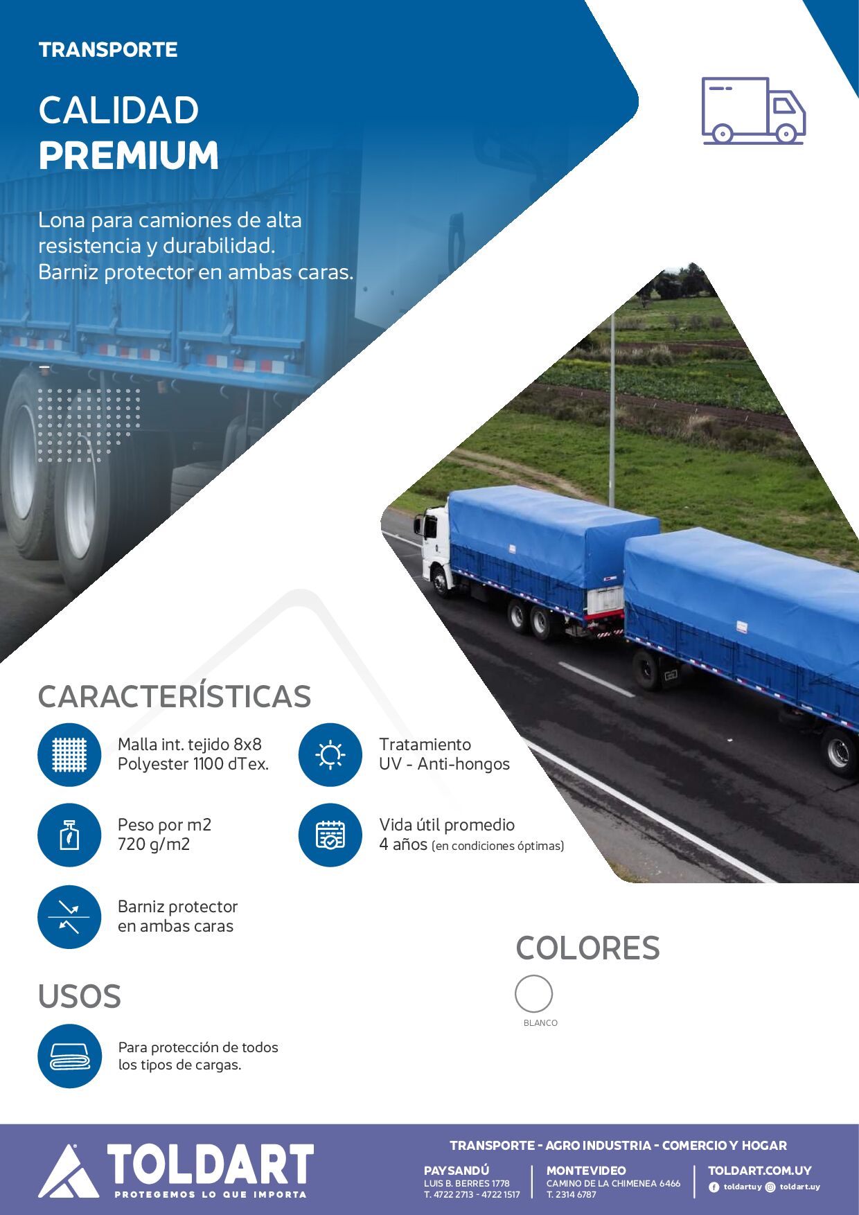 Vista previa del PDF