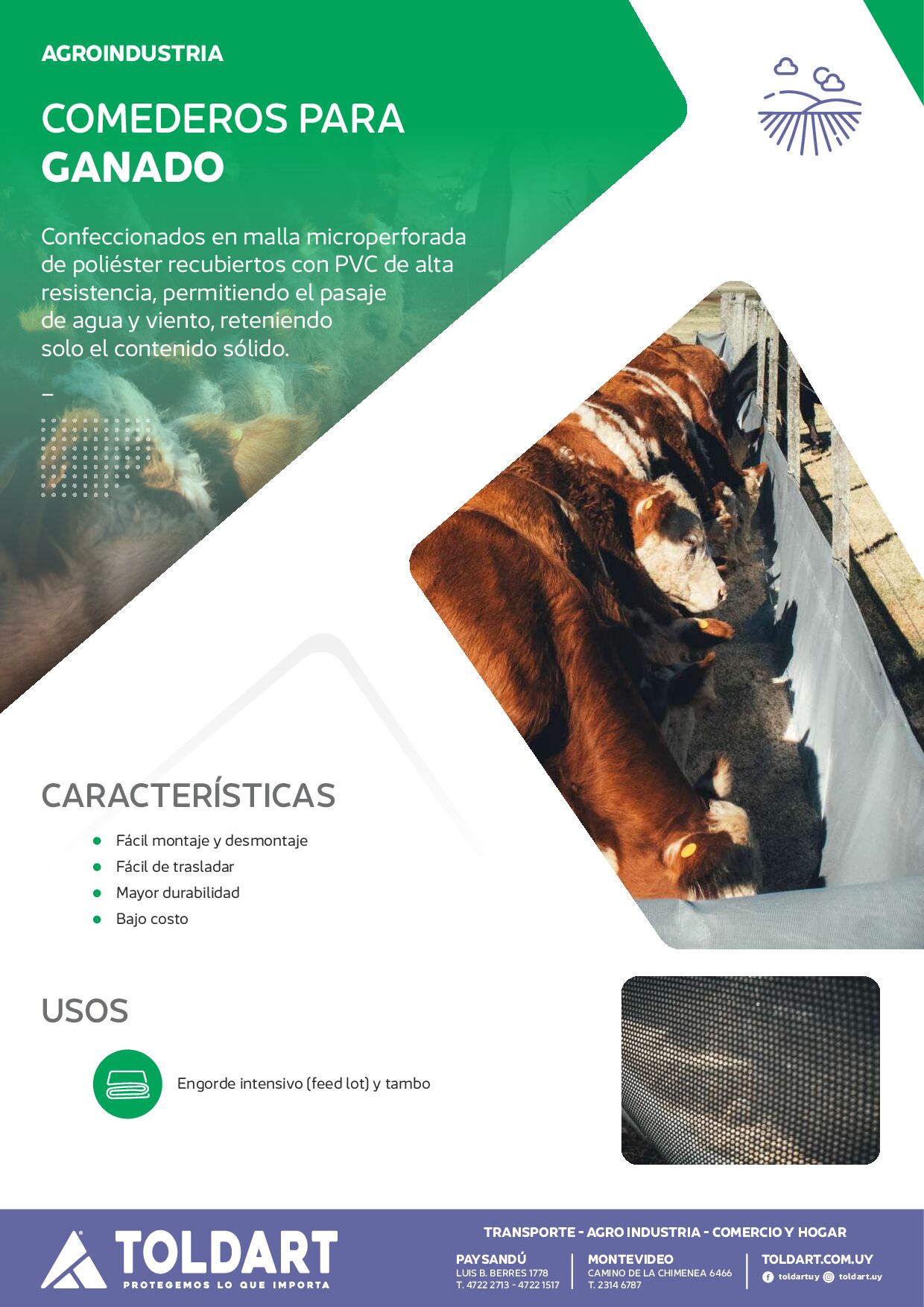 Vista previa del PDF