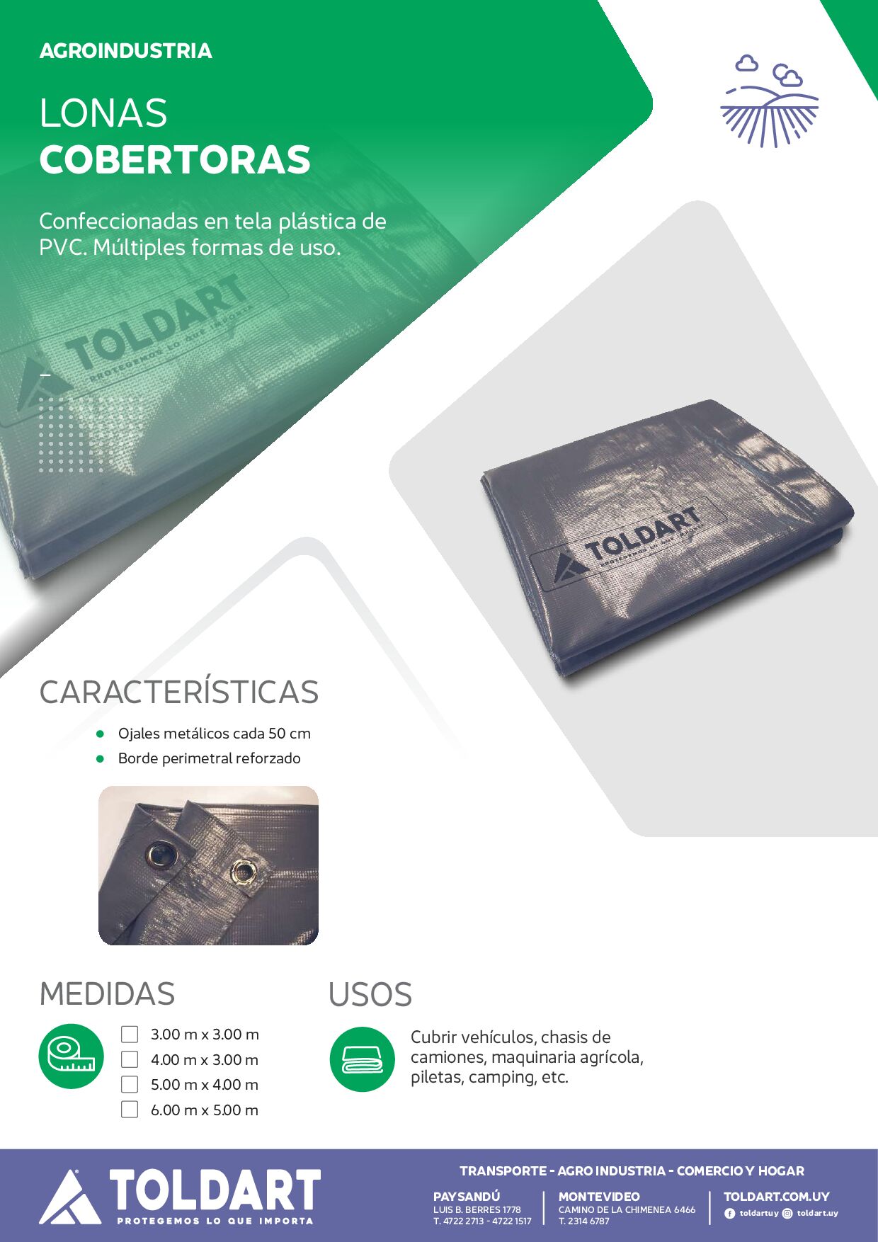 Vista previa del PDF