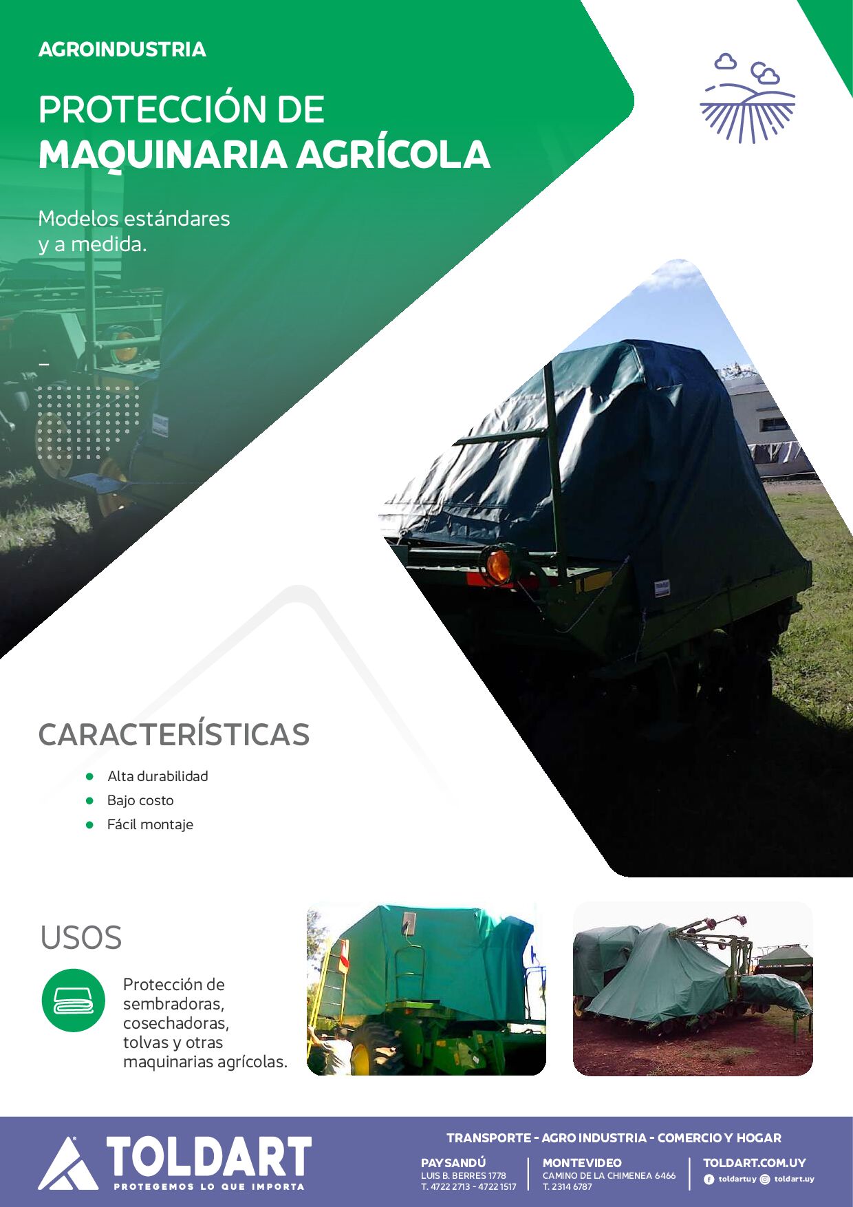 Vista previa del PDF