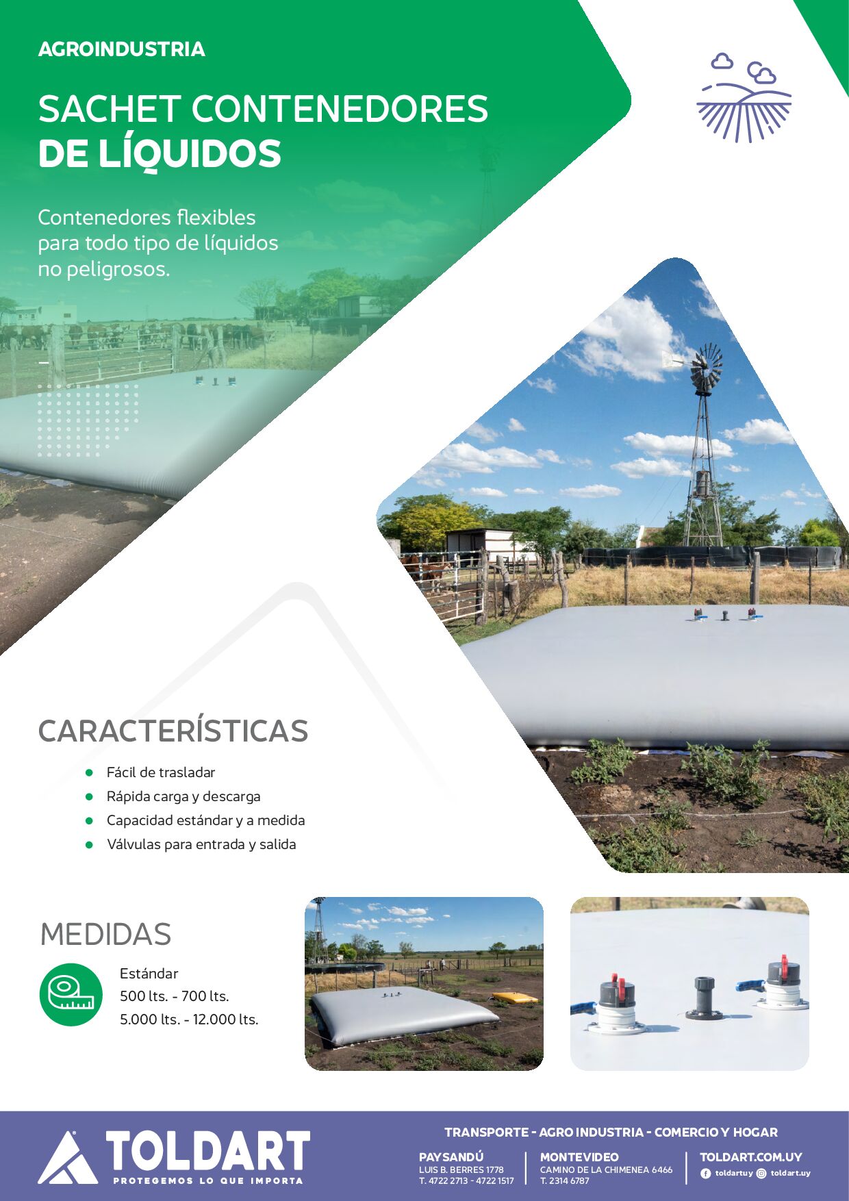 Vista previa del PDF