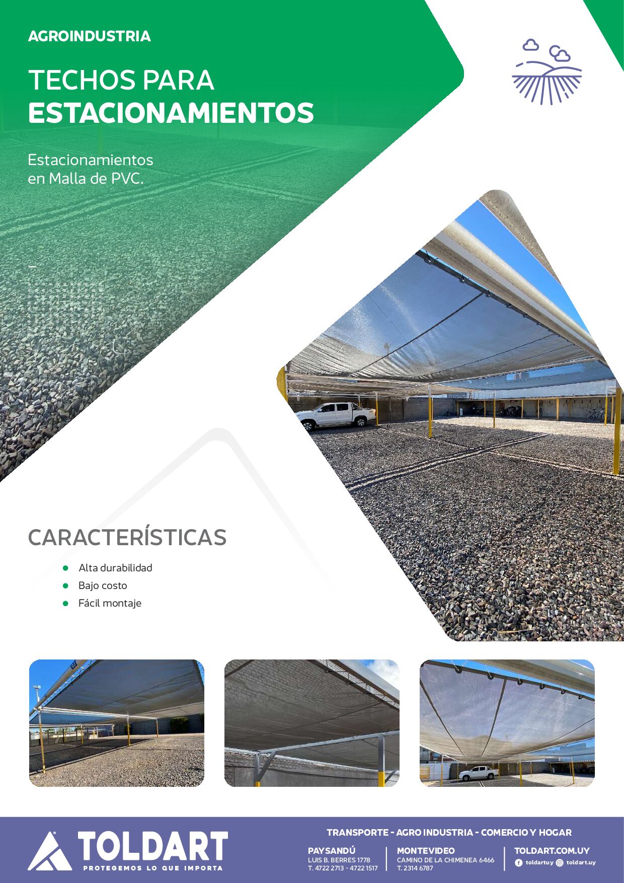 Vista previa del PDF