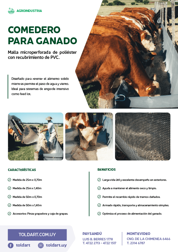 Vista previa del PDF