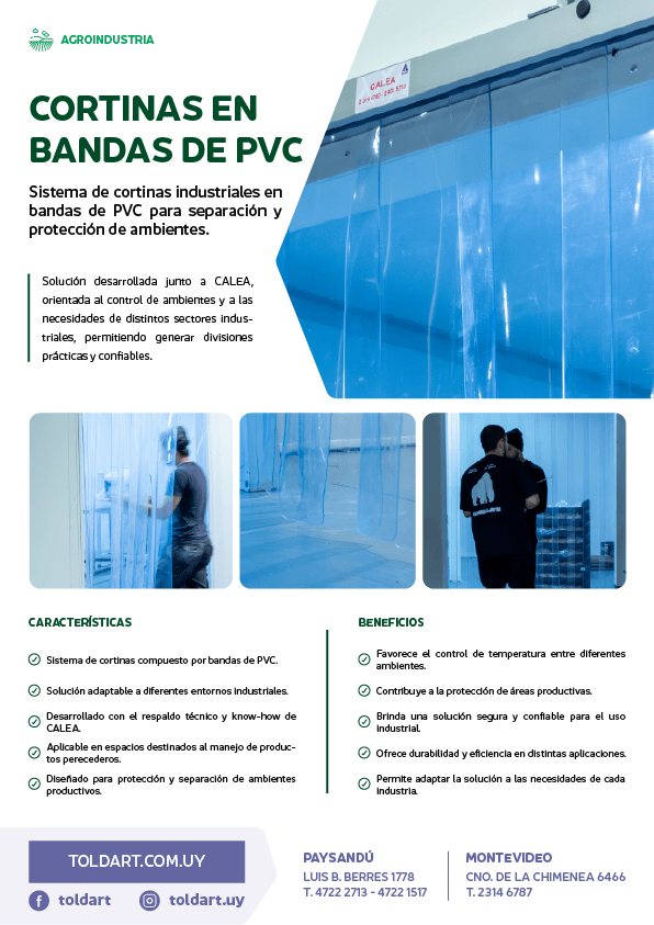 Vista previa del PDF