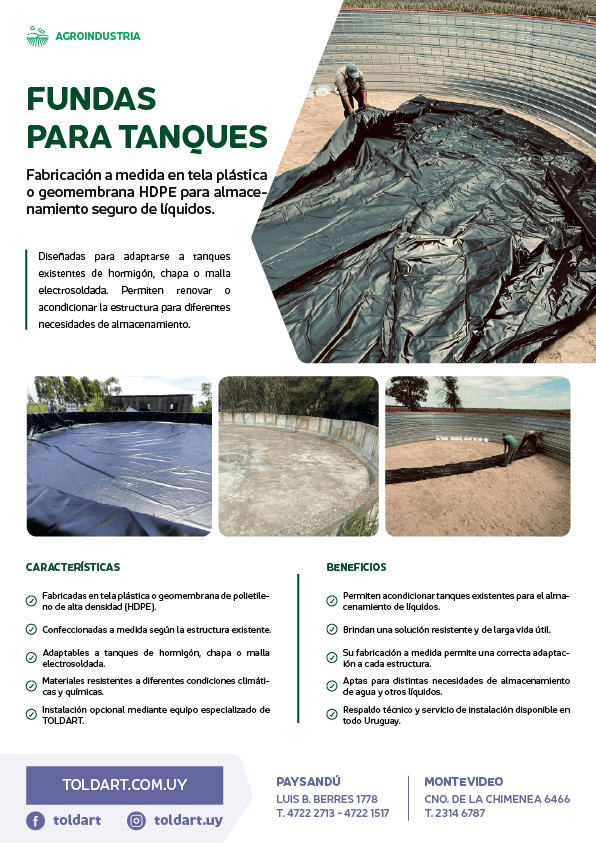 Vista previa del PDF