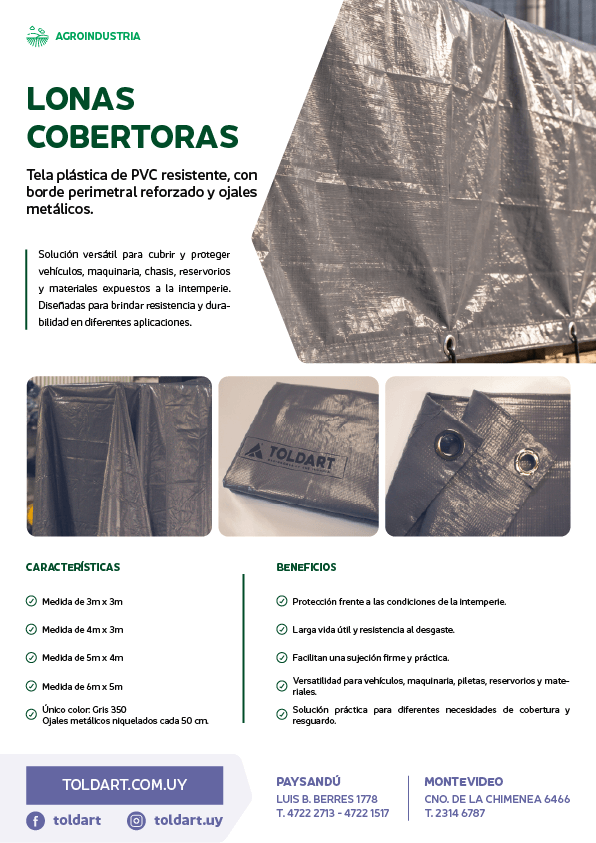 Vista previa del PDF