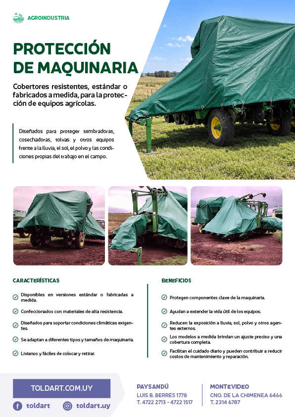 Vista previa del PDF