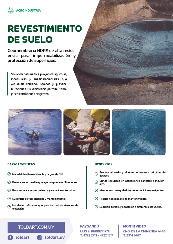 Vista previa del PDF