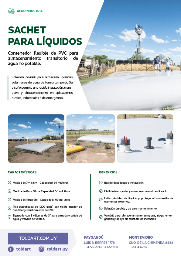 Vista previa del PDF