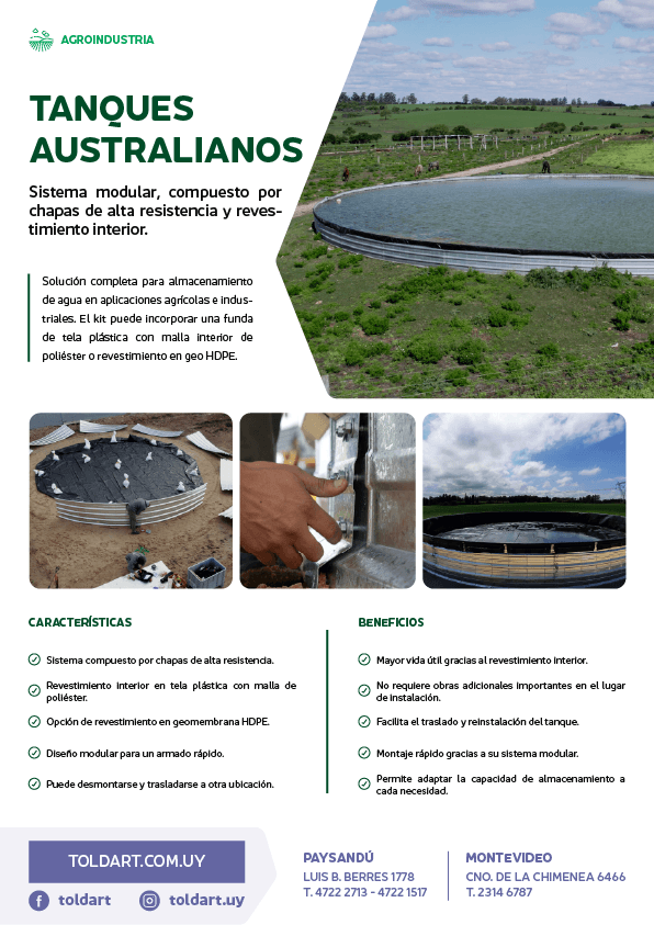 Vista previa del PDF