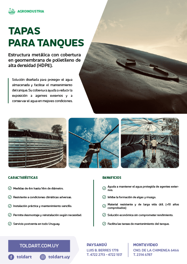 Vista previa del PDF