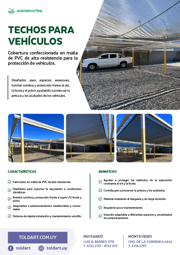 Vista previa del PDF